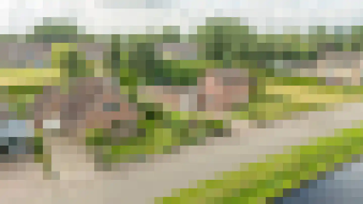 Hoofdkanaal OZ 36 Emmer-Compascuum thumbnail 56