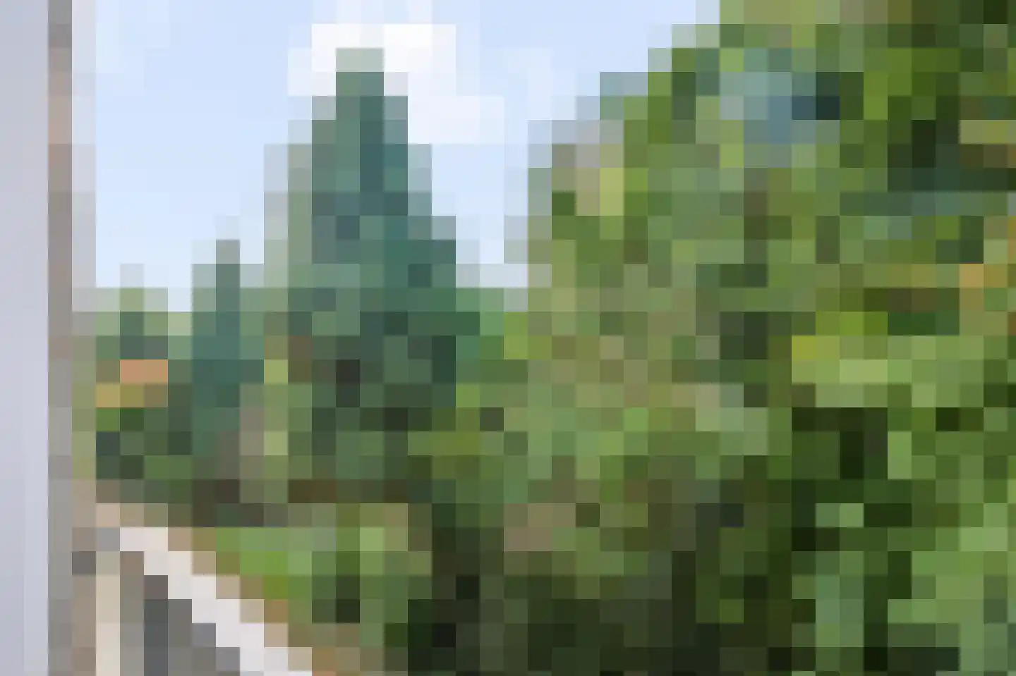 Hoofdkanaal OZ 81 G Emmer-Compascuum thumbnail 23