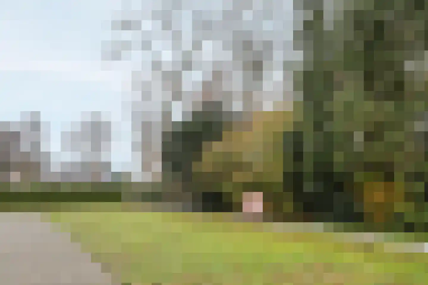 Hoofdkanaal OZ 81 R Emmer-Compascuum thumbnail 38
