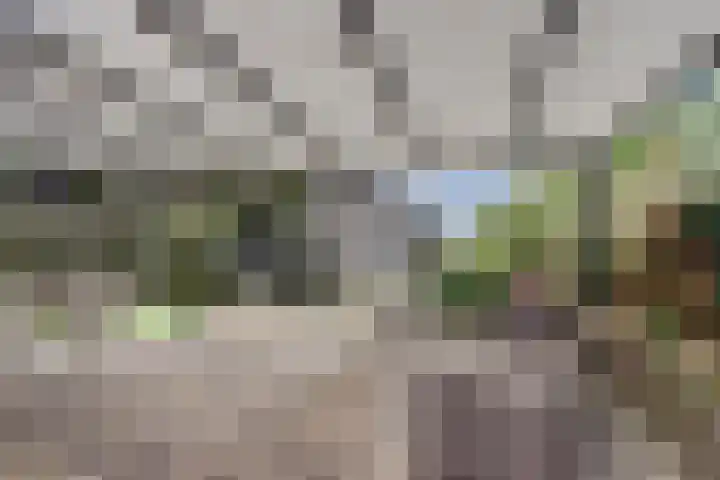 Hoofdkanaal WZ 104 Emmer-Compascuum thumbnail 27