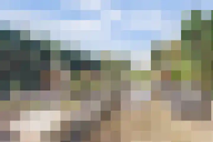 Hoofdkanaal WZ 104 Emmer-Compascuum thumbnail 29