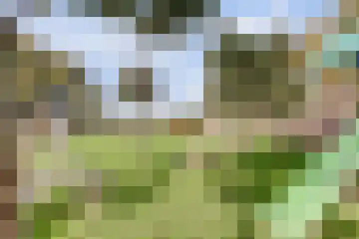 Hoofdkanaal WZ 104 Emmer-Compascuum thumbnail 31