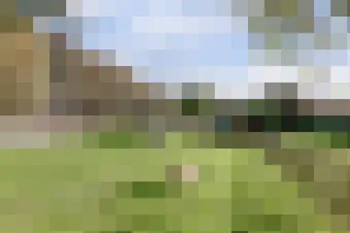Hoofdkanaal WZ 104 Emmer-Compascuum thumbnail 33