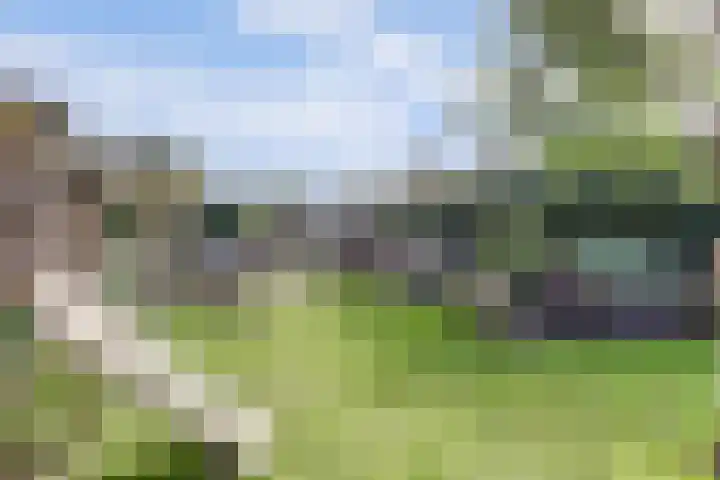 Hoofdkanaal WZ 104 Emmer-Compascuum thumbnail 34