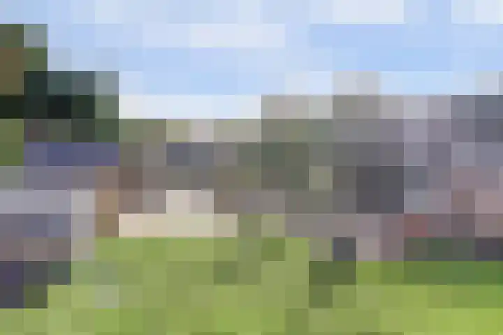 Hoofdkanaal WZ 104 Emmer-Compascuum thumbnail 35