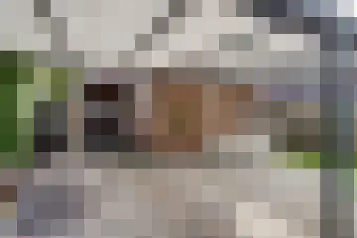 Hoofdkanaal WZ 104 Emmer-Compascuum thumbnail 38