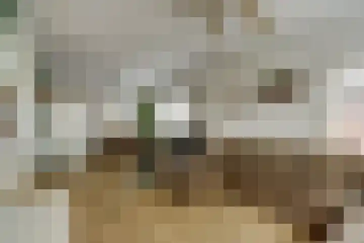 Hoofdkanaal WZ 104 Emmer-Compascuum thumbnail 4
