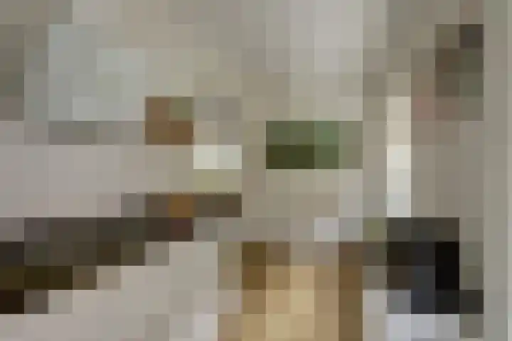 Hoofdkanaal WZ 104 Emmer-Compascuum thumbnail 8