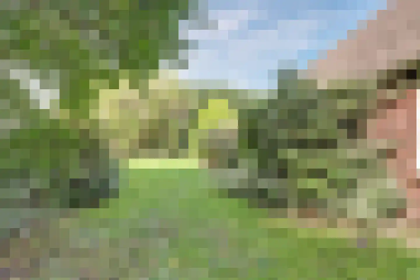 Hoofdkanaal WZ 135 Emmer-Compascuum thumbnail 47