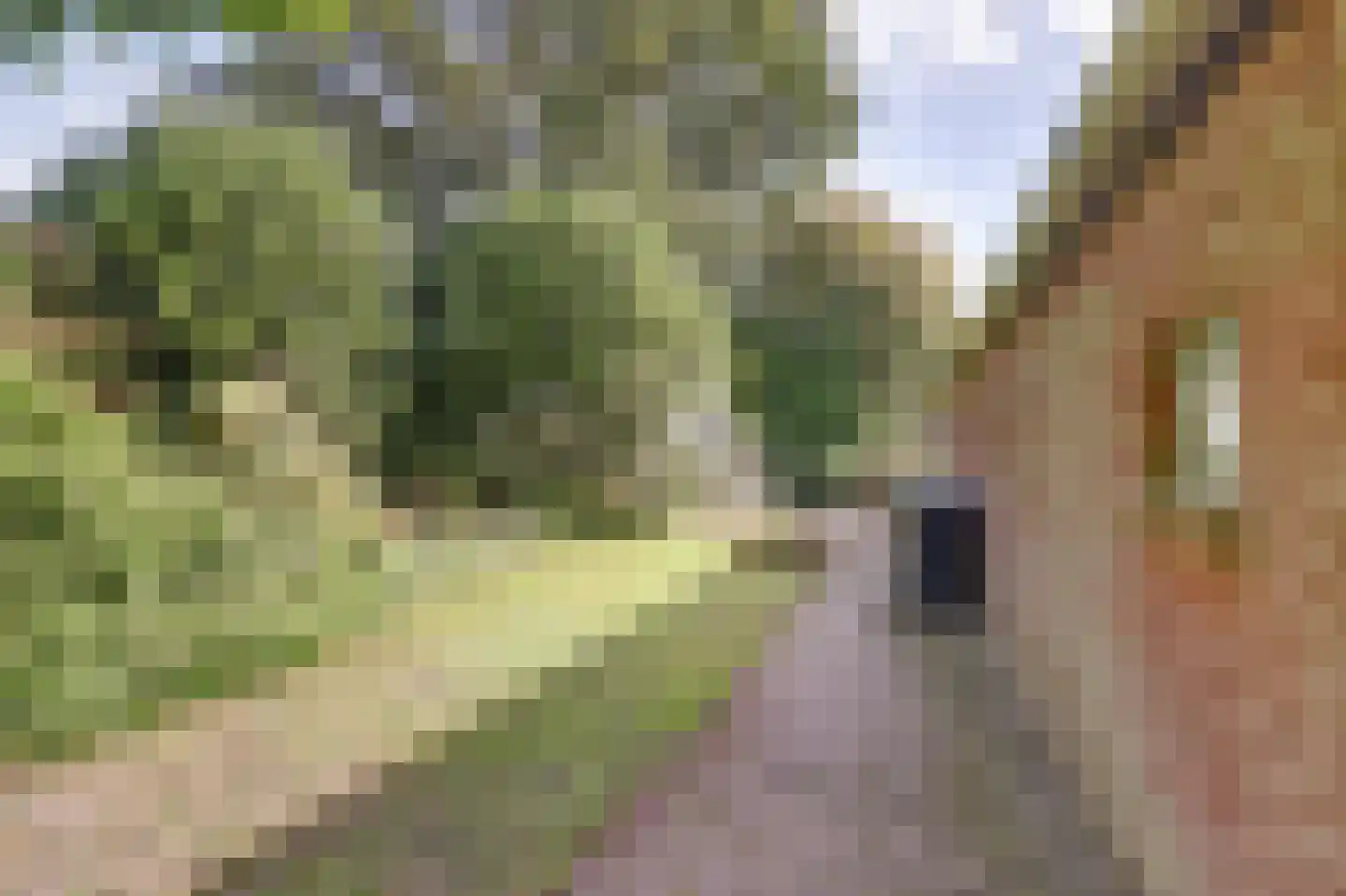 Hoofdkanaal WZ 135 Emmer-Compascuum thumbnail 50