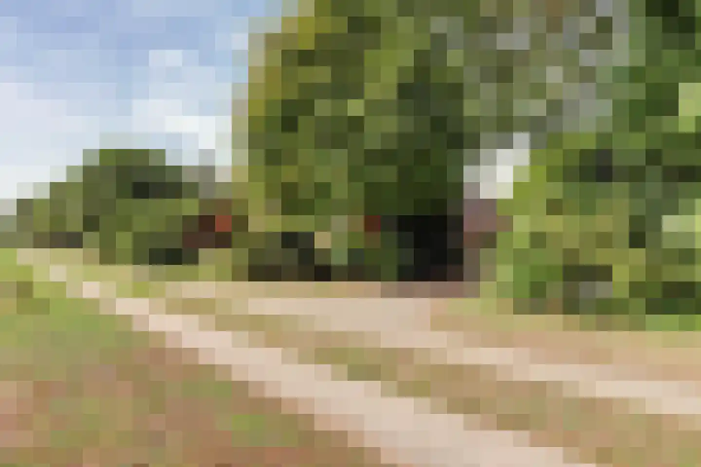 Hoofdkanaal WZ 135 Emmer-Compascuum thumbnail 54