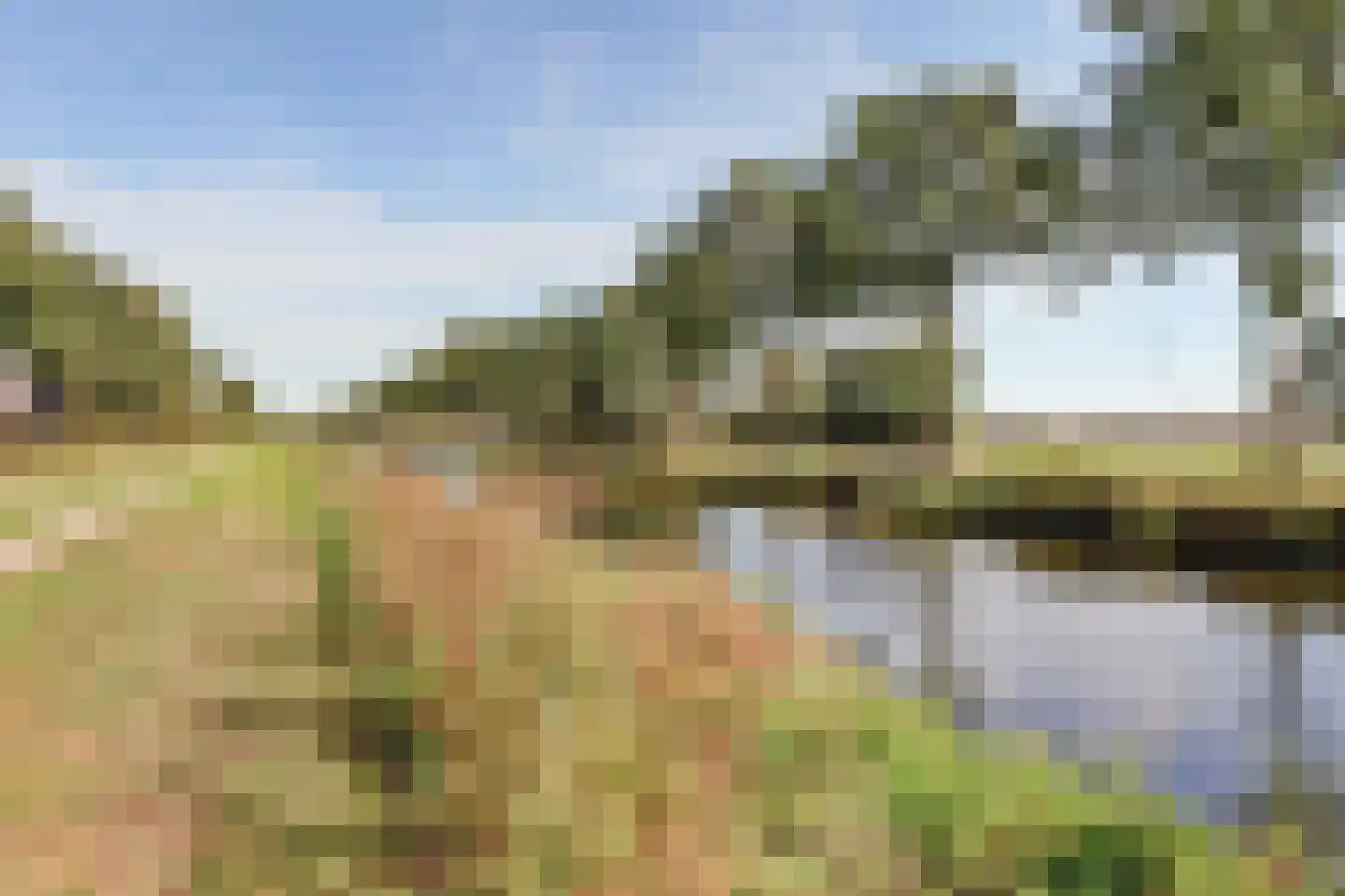 Hoofdkanaal WZ 135 Emmer-Compascuum thumbnail 55