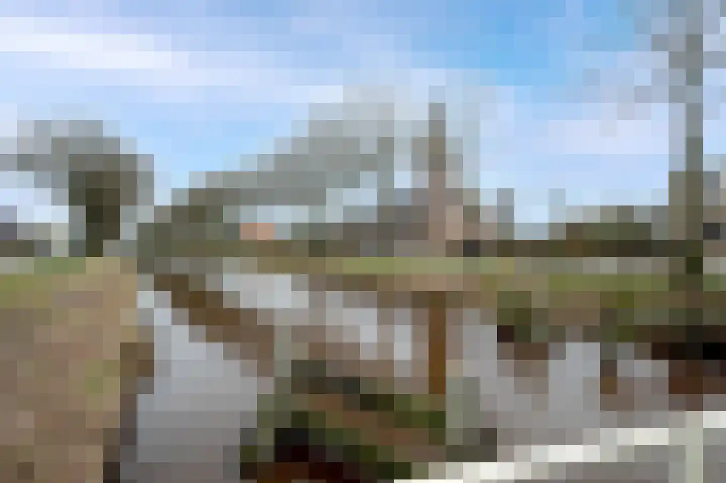 Hoofdkanaal WZ 72 Emmer-Compascuum thumbnail 46