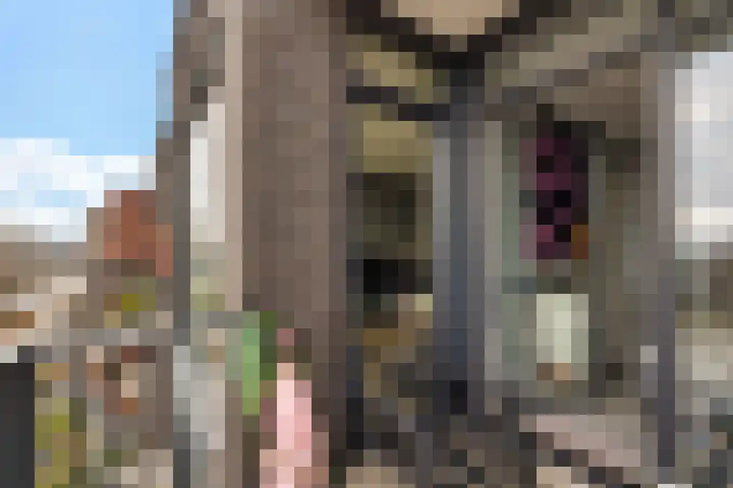 Hoofdkanaal WZ 8 W Emmer-Compascuum thumbnail 30