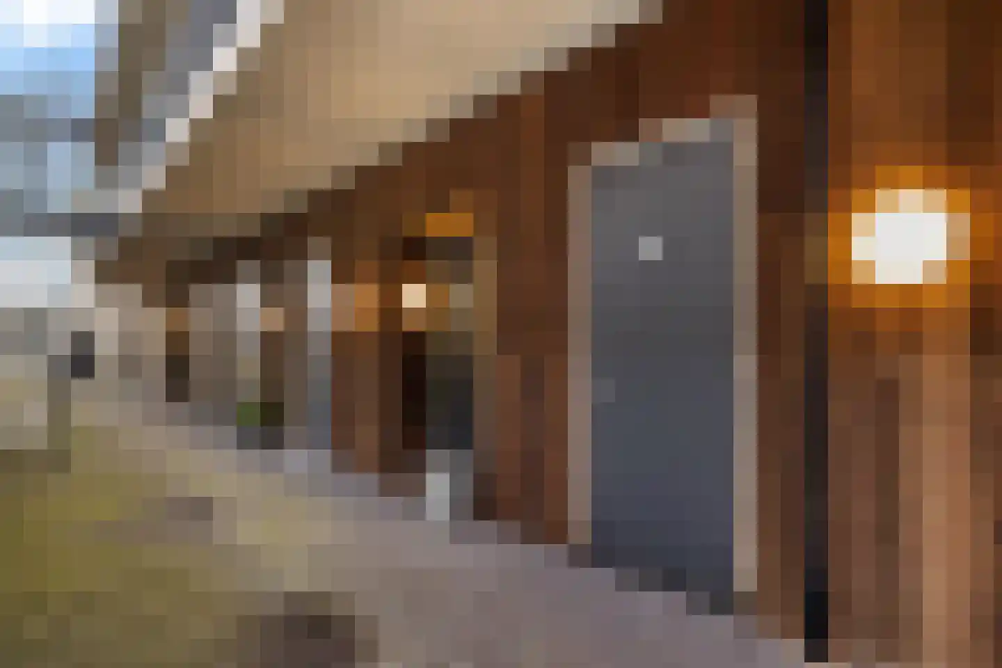 Hoofdkanaal WZ 8 W Emmer-Compascuum thumbnail 7
