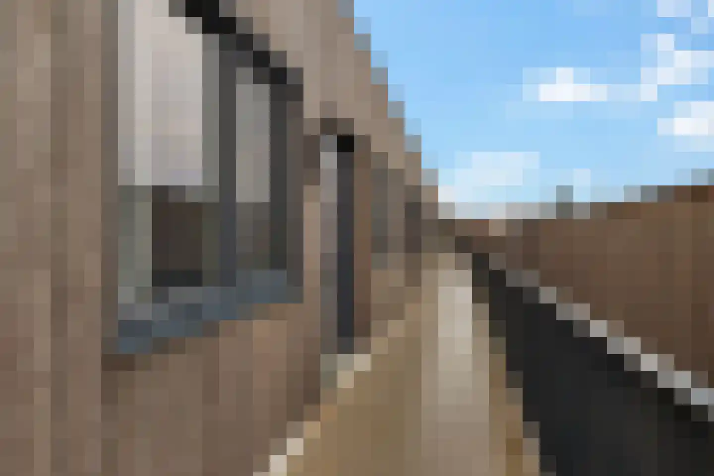 Hoofdkanaal WZ 8 W Emmer-Compascuum thumbnail 9