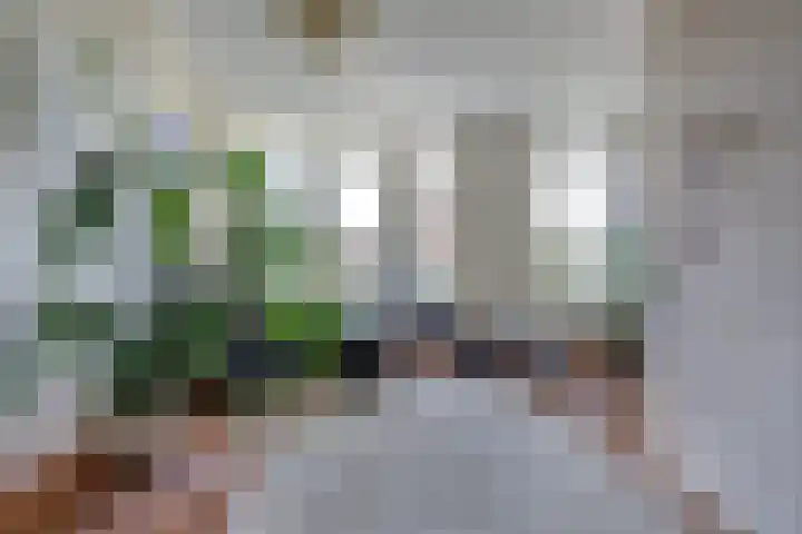 Hoofdlaan 13 B Rotterdam thumbnail 11