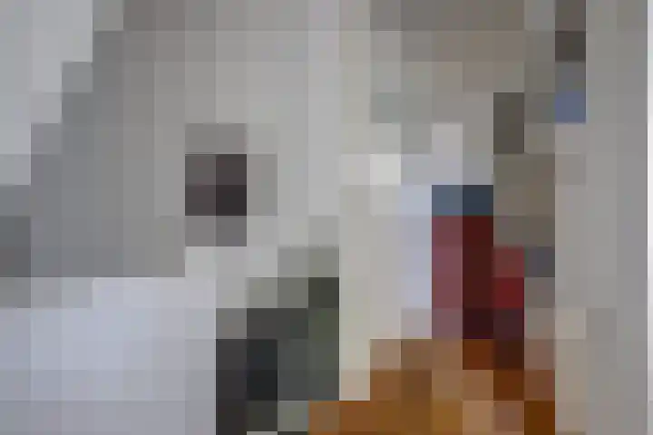Hoofdlaan 13 B Rotterdam thumbnail 25