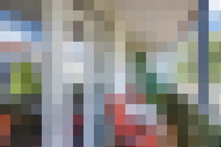 Hoofdlaan 13 B Rotterdam thumbnail 33