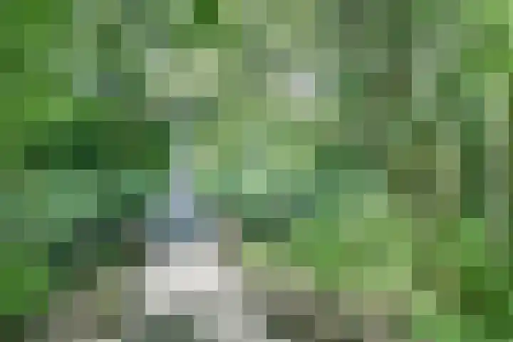 Hoofdlaan 13 B Rotterdam thumbnail 36