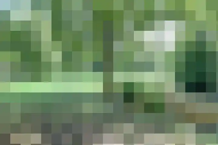 Hoofdlaan 13 B Rotterdam thumbnail 37