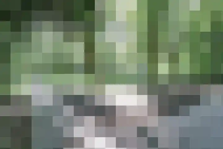 Hoofdlaan 13 B Rotterdam thumbnail 38