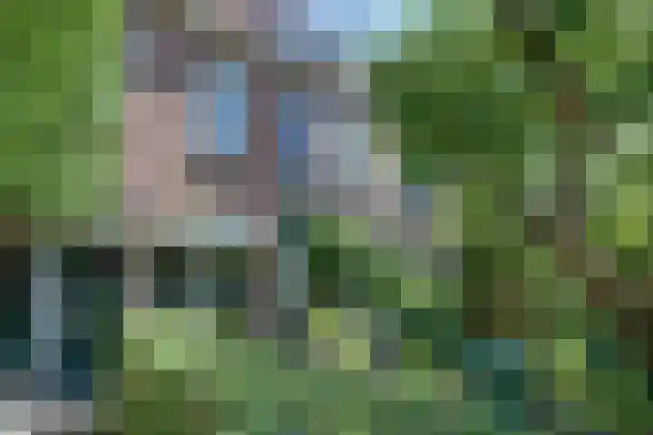 Hoofdlaan 13 B Rotterdam thumbnail 4