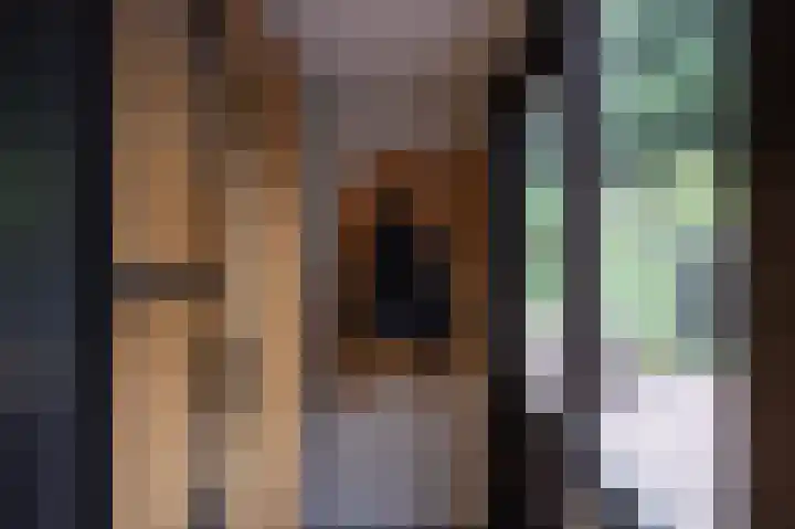 Hoofdlaan 20 Putten thumbnail 12