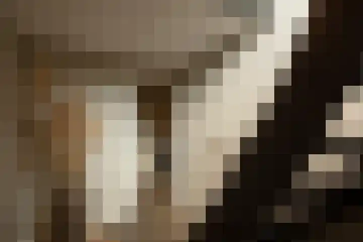 Hoofdlaan 20 Putten thumbnail 25
