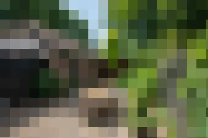 Hoofdlaan 20 Putten thumbnail 33