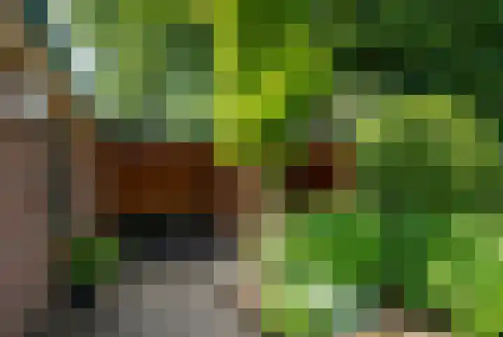 Hoofdlaan 20 Putten thumbnail 34
