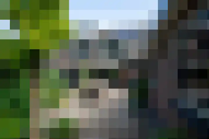Hoofdlaan 20 Putten thumbnail 35