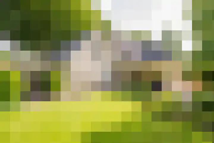 Hoofdlaan 4 Putten foto 3