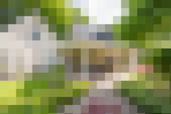 Hoofdlaan 4 Putten thumbnail 35