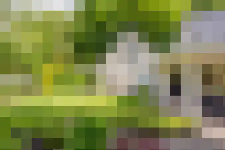 Hoofdlaan 4 Putten thumbnail 36