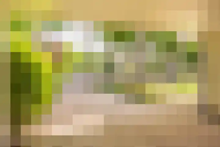 Hoofdlaan 4 Putten thumbnail 37
