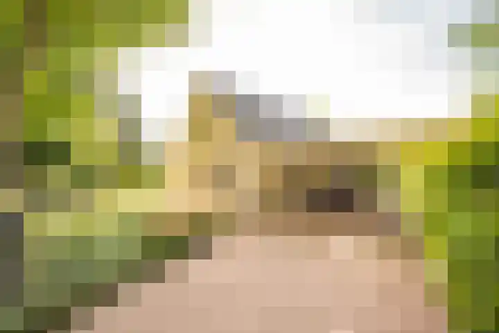 Hoofdlaan 4 Putten thumbnail 38