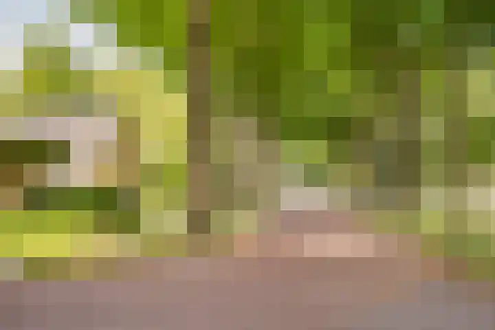 Hoofdlaan 4 Putten thumbnail 4