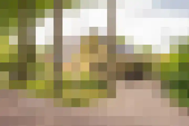 Hoofdlaan 4 Putten thumbnail 40