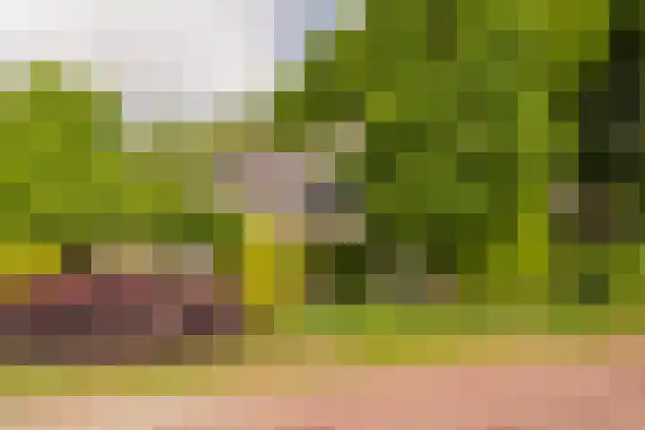 Hoofdlaan 4 Putten thumbnail 41
