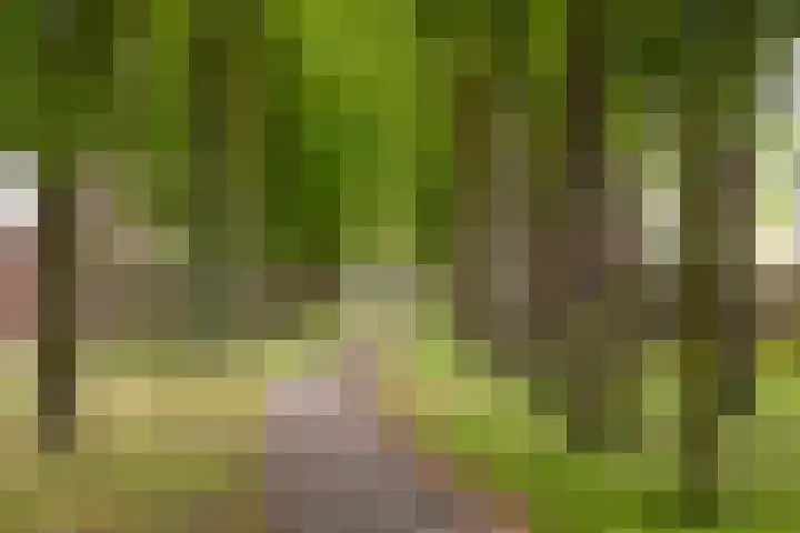 Hoofdlaan 4 Putten thumbnail 42