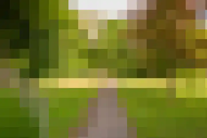 Hoofdlaan 4 Putten thumbnail 43