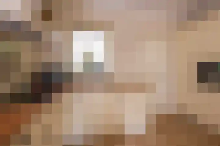 Hoofdlaan 4 Putten thumbnail 7
