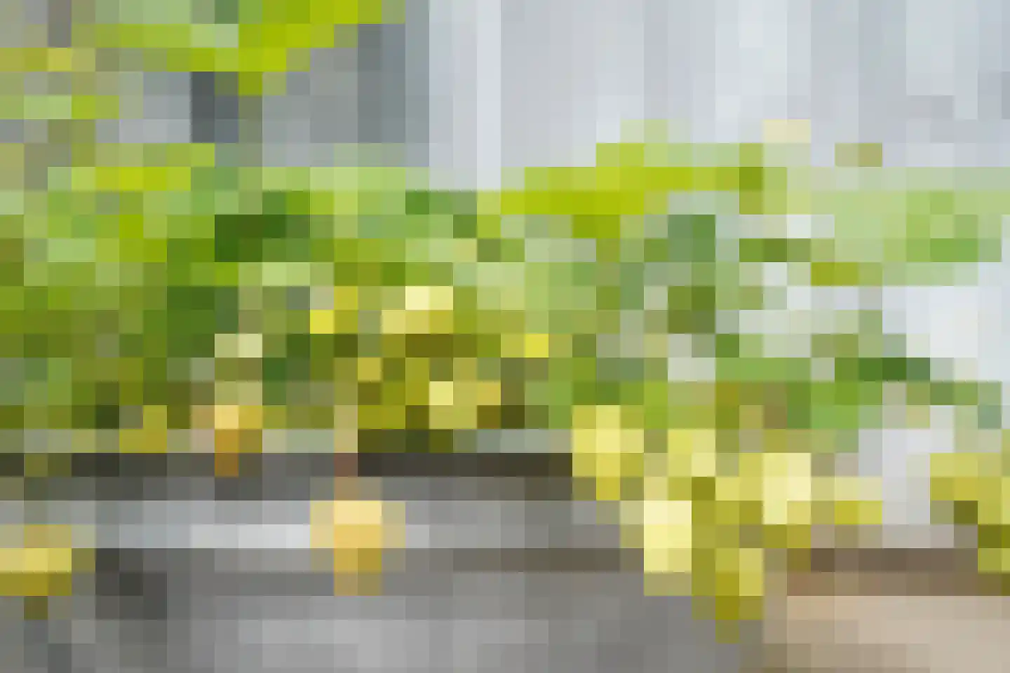 Hoofdlaan 86 Putten thumbnail 18