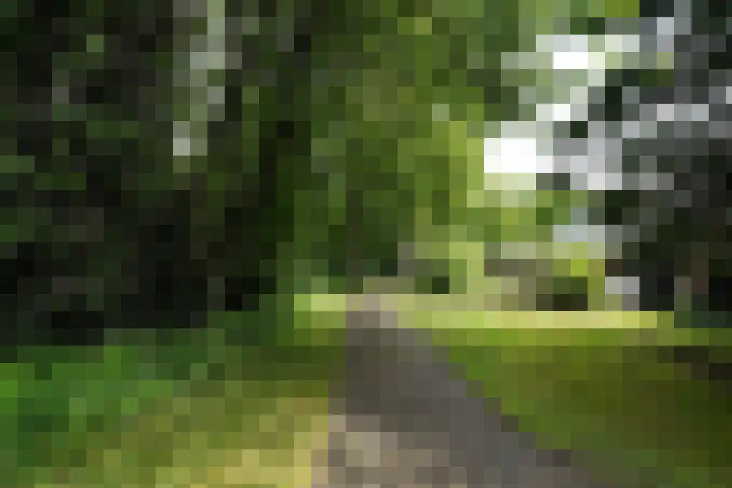 Hoofdlaan 86 Putten thumbnail 57