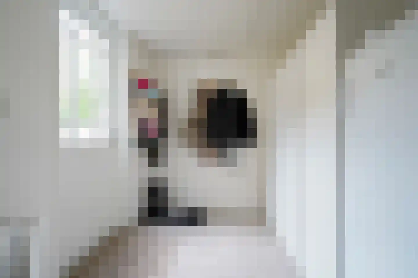 Hoofdlaan 86 Putten thumbnail 6