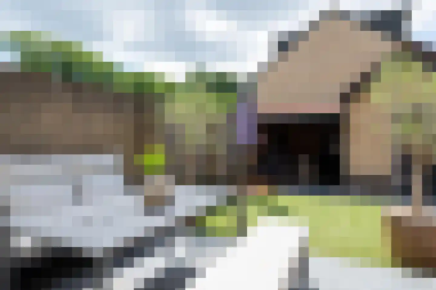 Hoofdlaan 88 Putten thumbnail 25