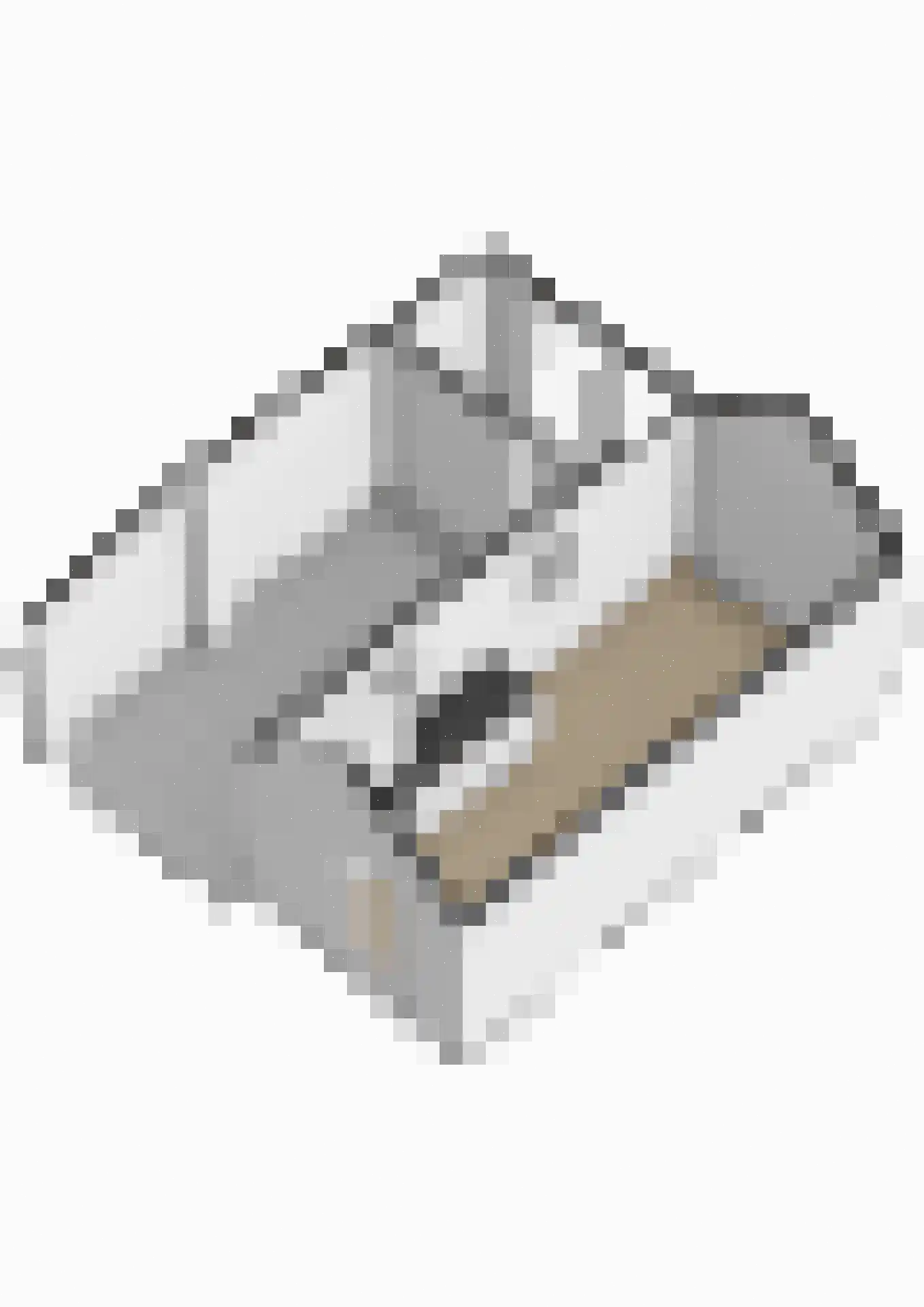 Hoofdlaan 88 Putten thumbnail 45