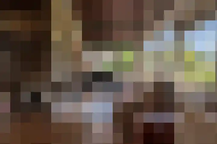 Hoofdland 17 Mijnsheerenland thumbnail 10
