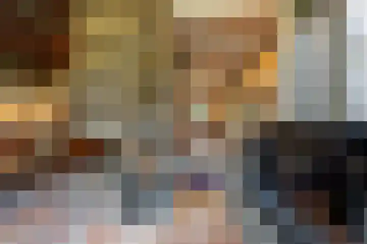 Hoofdland 17 Mijnsheerenland thumbnail 12